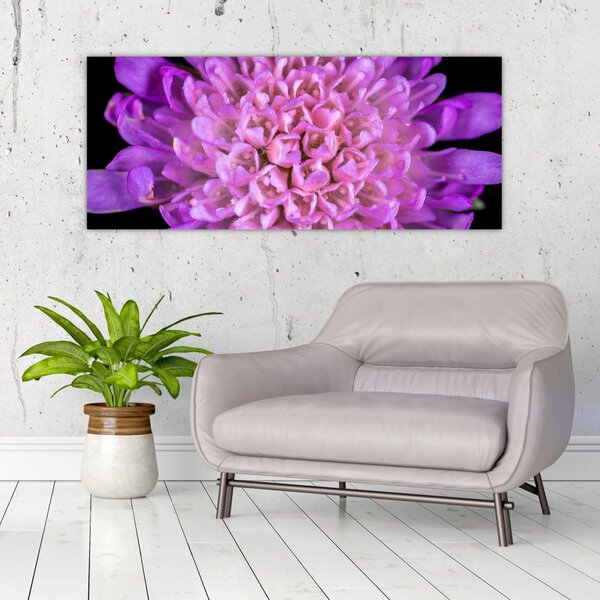 Tablou detailat cu floare (120x50 cm)