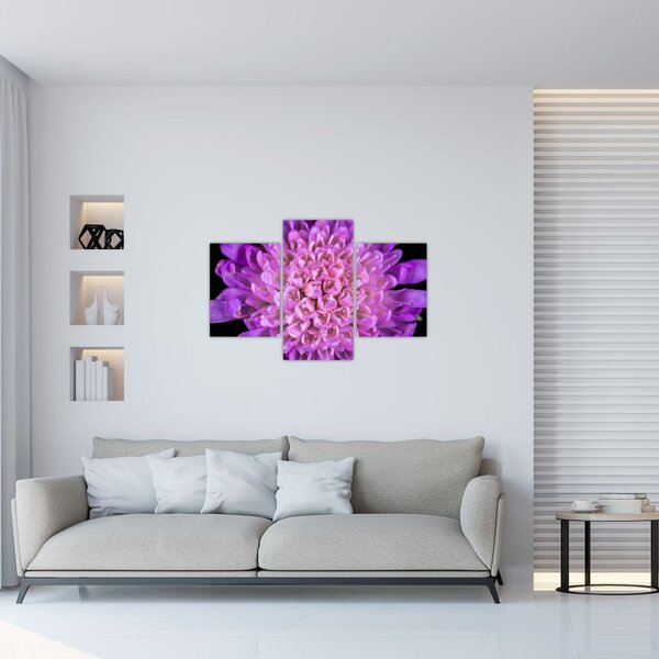 Tablou detailat cu floare (90x60 cm)