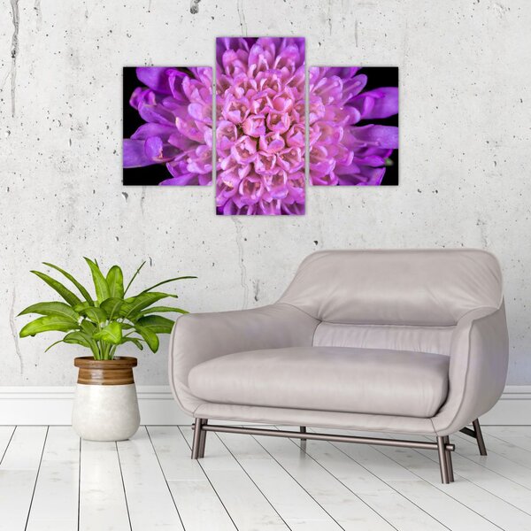 Tablou detailat cu floare (90x60 cm)