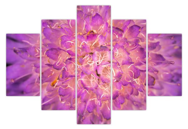 Tablou detailat cu floare (150x105 cm)