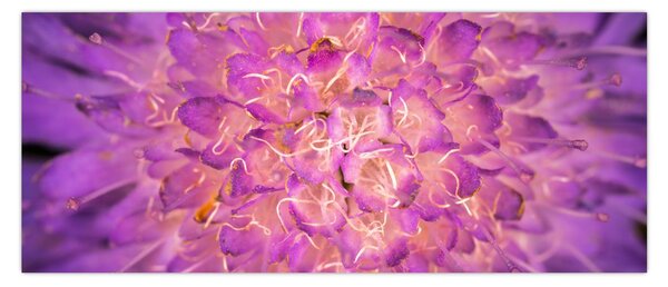 Tablou detailat cu floare (120x50 cm)