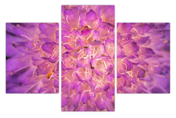 Tablou detailat cu floare (90x60 cm)