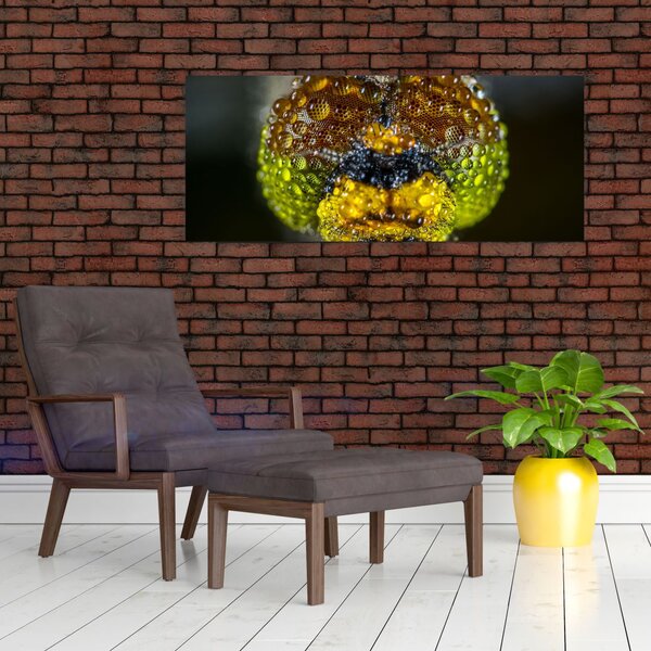 Tablou detailat cu ochii de omidă (120x50 cm)