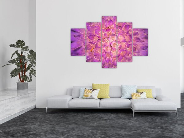Tablou detailat cu floare (150x105 cm)