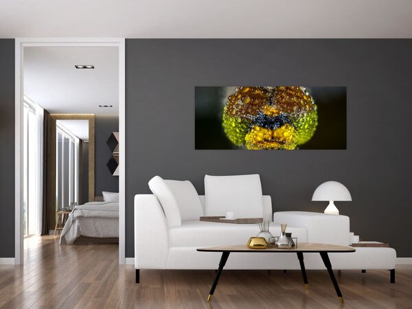 Tablou detailat cu ochii de omidă (120x50 cm)