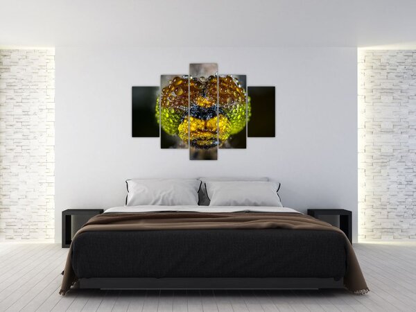 Tablou detailat cu ochii de omidă (150x105 cm)