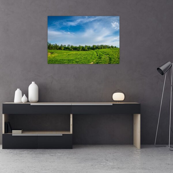 Tablou cu luncă (90x60 cm)
