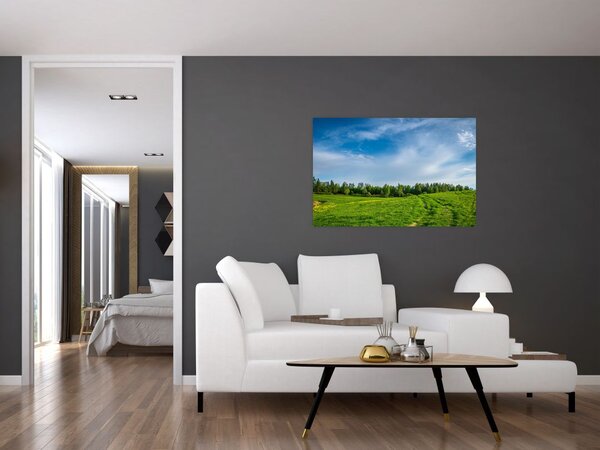 Tablou cu luncă (90x60 cm)