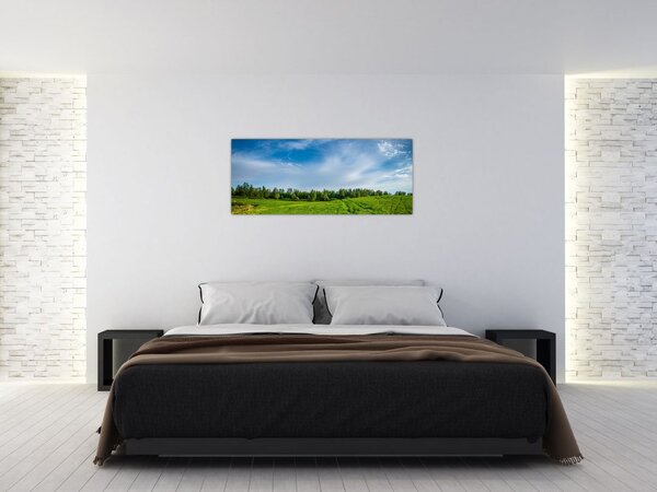 Tablou cu luncă (120x50 cm)