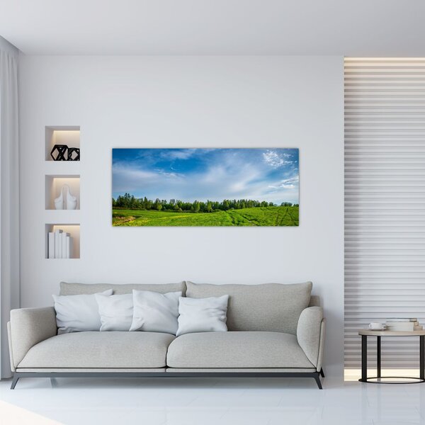 Tablou cu luncă (120x50 cm)