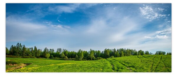 Tablou cu luncă (120x50 cm)