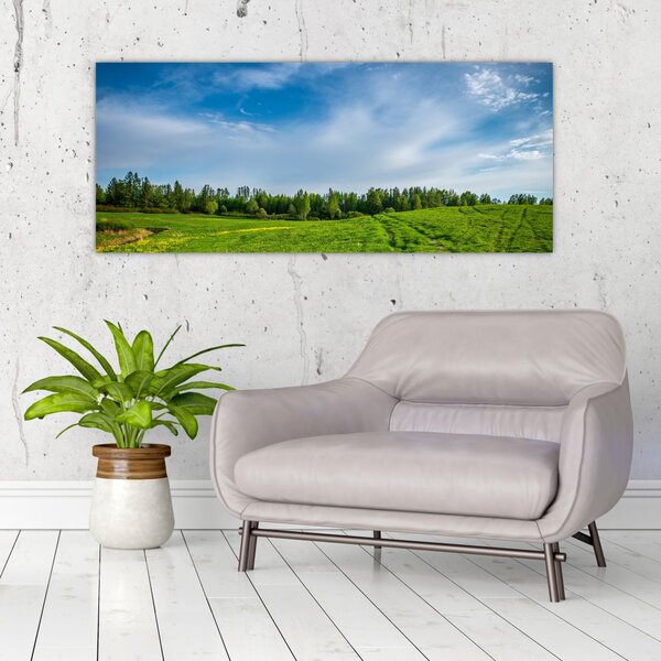 Tablou cu luncă (120x50 cm)