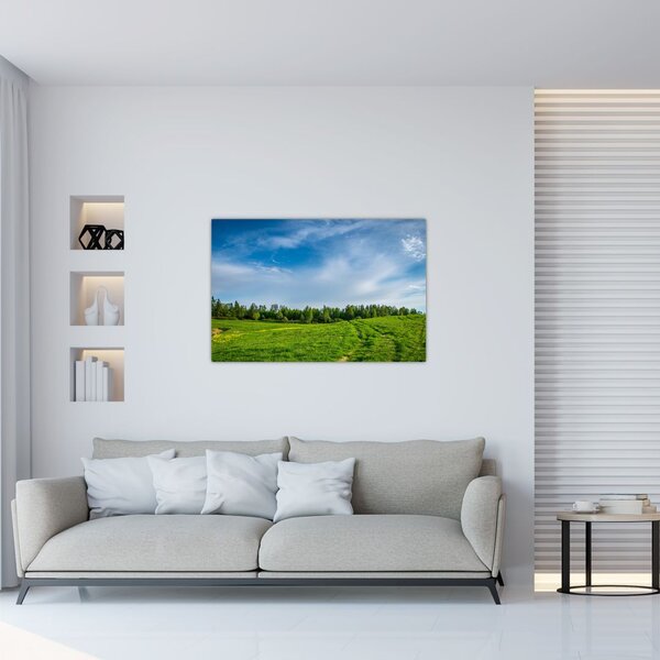 Tablou cu luncă (90x60 cm)