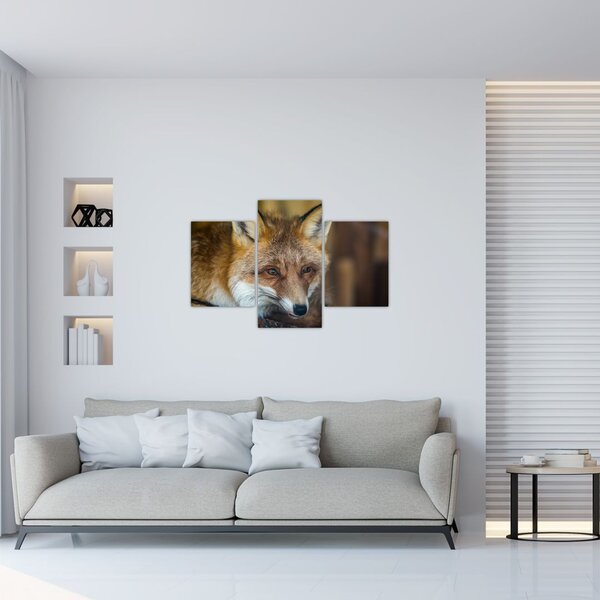 Tablou cu vulpe (90x60 cm)