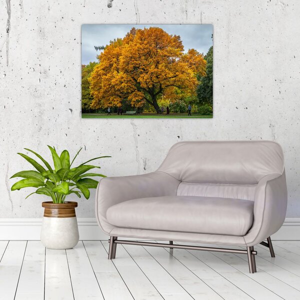 Tablou cu copac (70x50 cm)