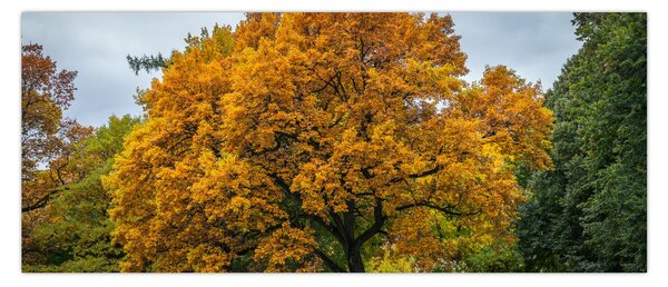 Tablou cu copac (120x50 cm)