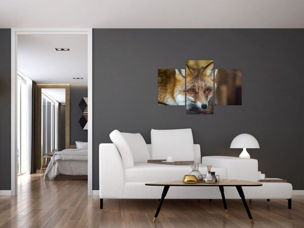 Tablou cu vulpe (90x60 cm)