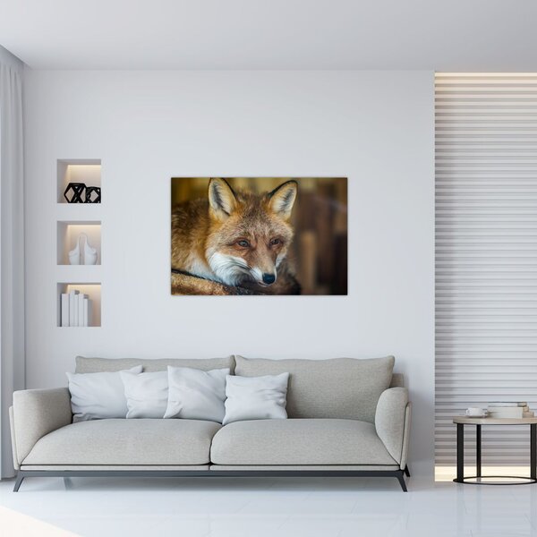 Tablou cu vulpe (90x60 cm)