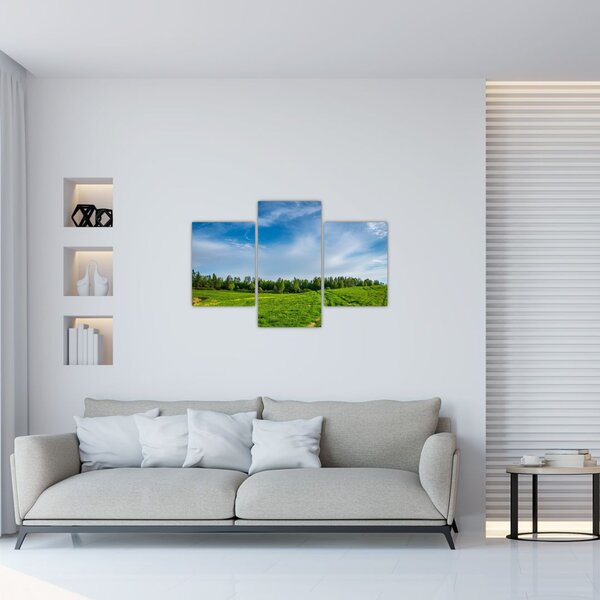 Tablou cu luncă (90x60 cm)
