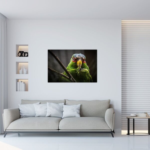 Tablou cu papagal (90x60 cm)