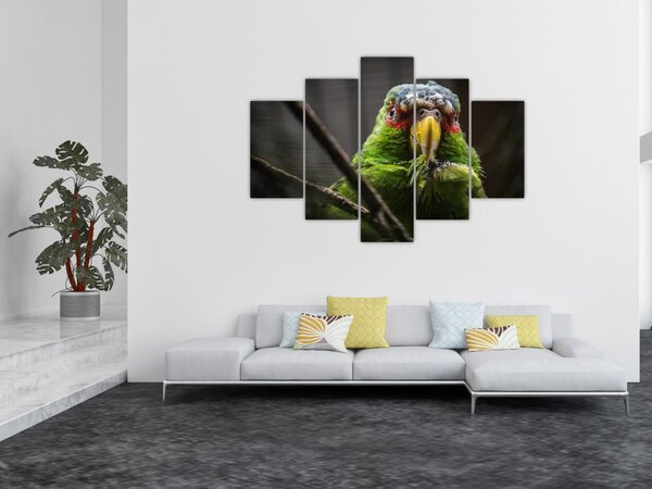 Tablou cu papagal (150x105 cm)
