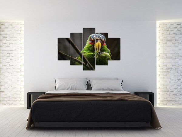 Tablou cu papagal (150x105 cm)