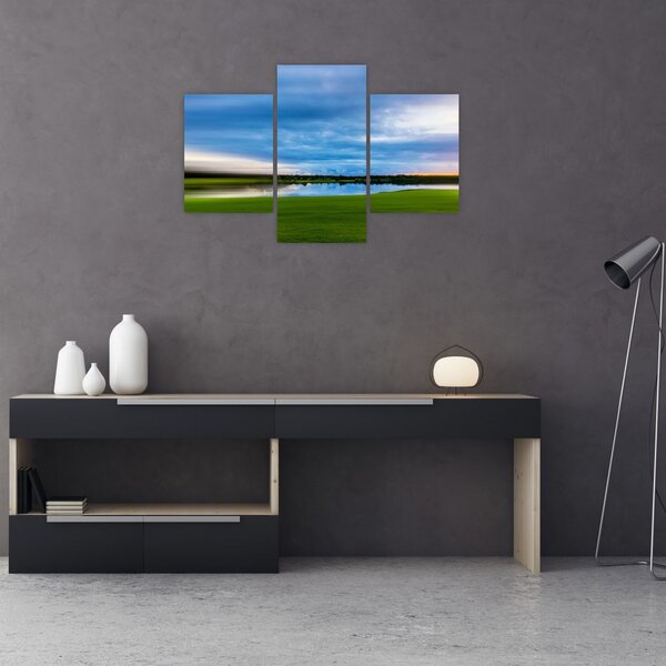 Tablou cu lunca (90x60 cm)