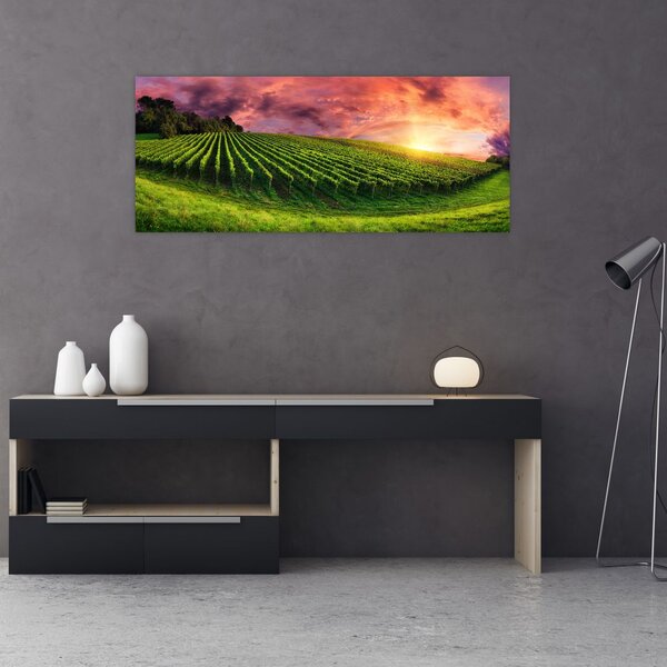 Tablou cu vie cu cerul color (120x50 cm)