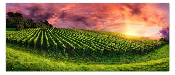 Tablou cu vie cu cerul color (120x50 cm)