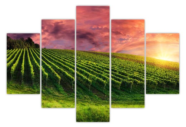 Tablou cu vie cu cerul color (150x105 cm)