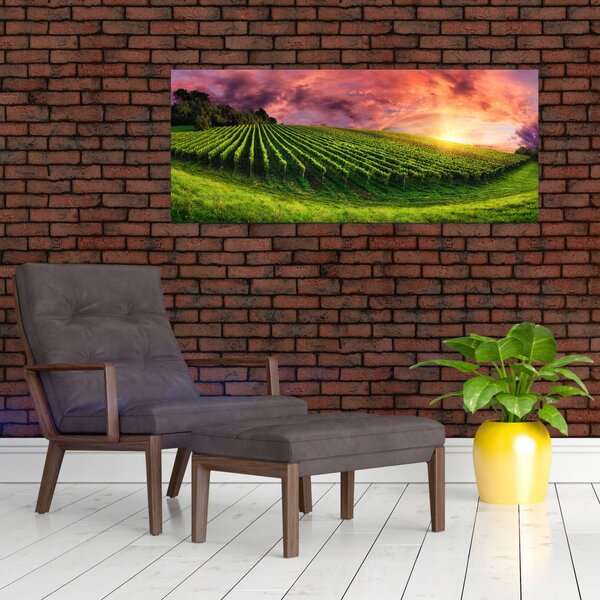 Tablou cu vie cu cerul color (120x50 cm)