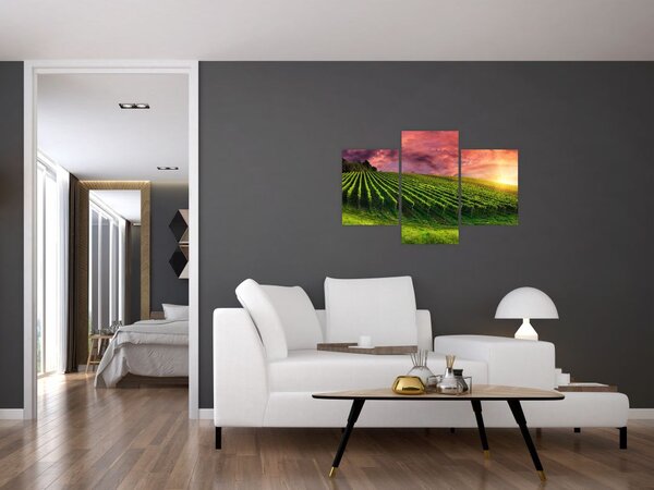 Tablou cu vie cu cerul color (90x60 cm)
