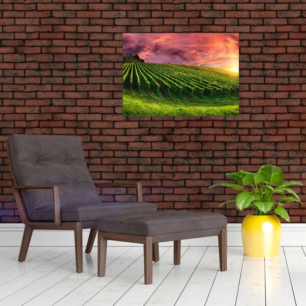 Tablou cu vie cu cerul color (70x50 cm)