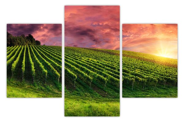 Tablou cu vie cu cerul color (90x60 cm)