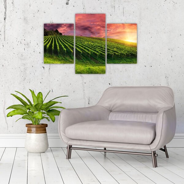 Tablou cu vie cu cerul color (90x60 cm)