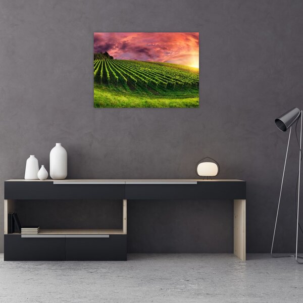 Tablou cu vie cu cerul color (70x50 cm)