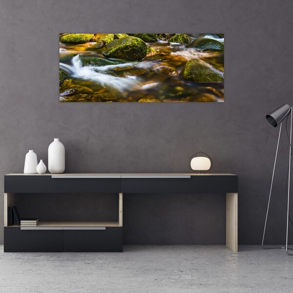 Tablou cu părâu (120x50 cm)