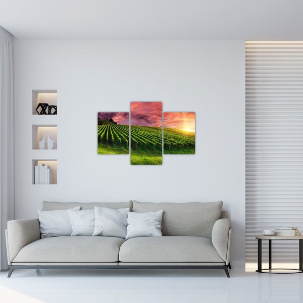 Tablou cu vie cu cerul color (90x60 cm)