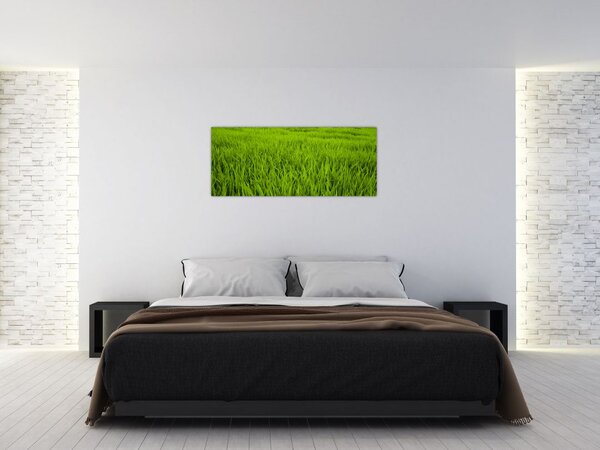 Tablou cu iaraba (120x50 cm)