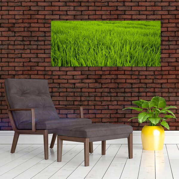 Tablou cu iaraba (120x50 cm)