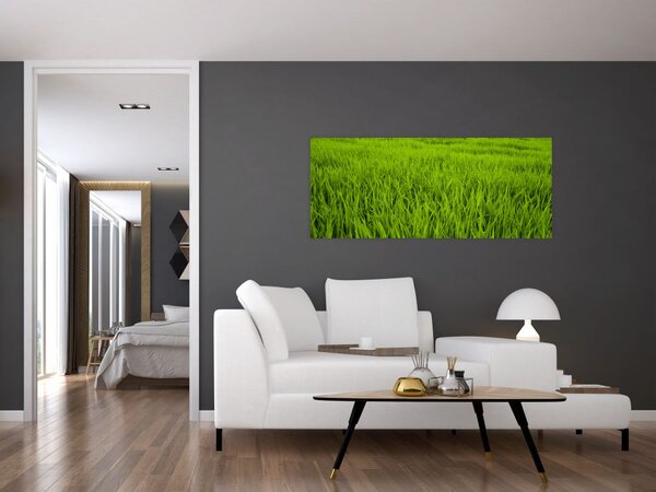 Tablou cu iaraba (120x50 cm)