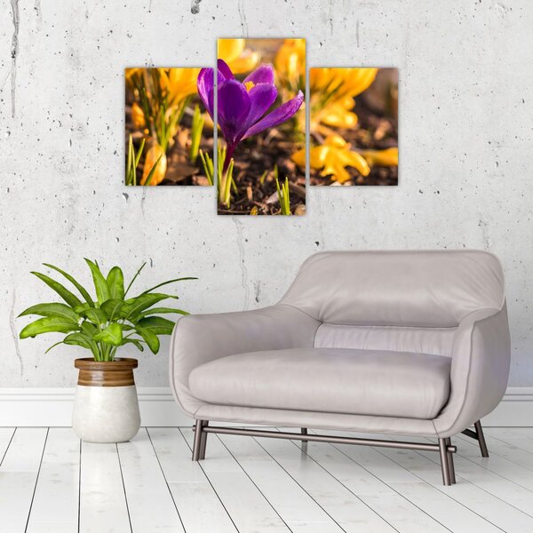 Tablou cu floare violetă (90x60 cm)