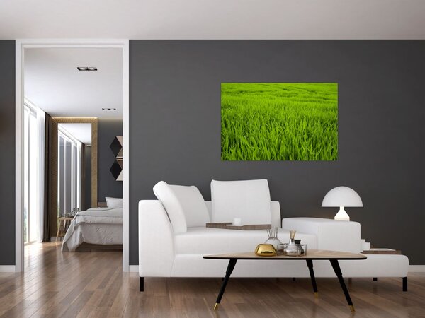 Tablou cu iaraba (90x60 cm)