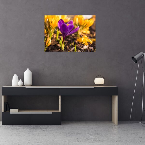 Tablou cu floare violetă (70x50 cm)