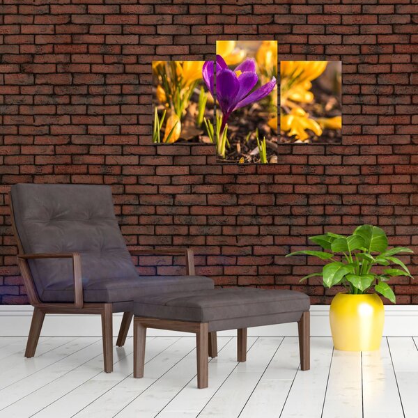 Tablou cu floare violetă (90x60 cm)
