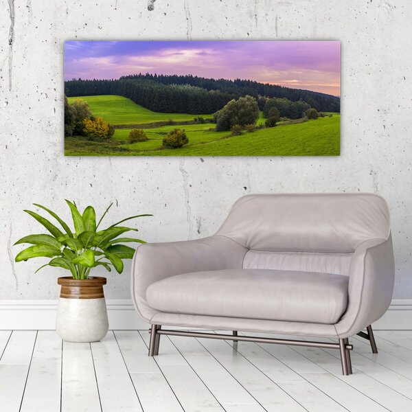 Tablou cu lunca (120x50 cm)
