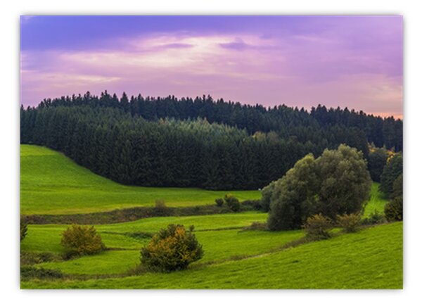 Tablou cu lunca (70x50 cm)