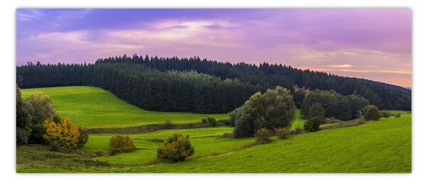 Tablou cu lunca (120x50 cm)