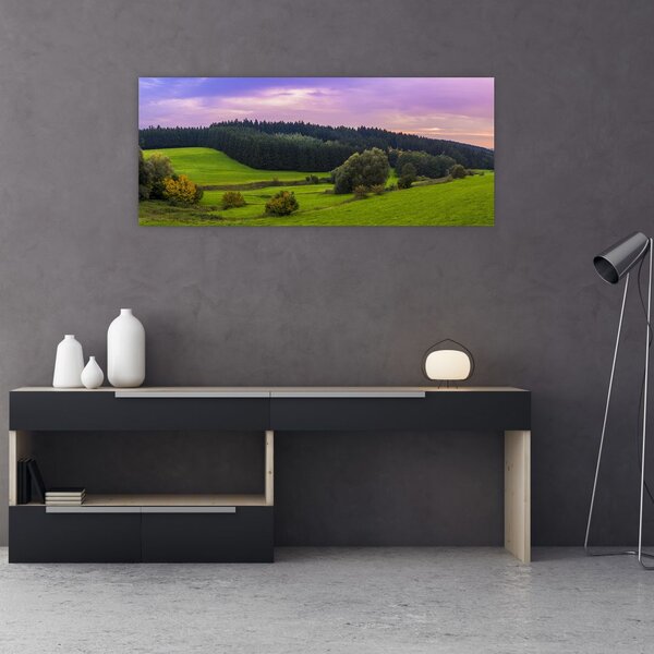 Tablou cu lunca (120x50 cm)