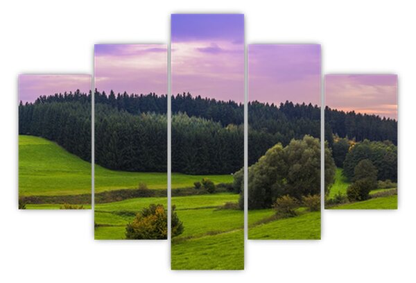 Tablou cu lunca (150x105 cm)